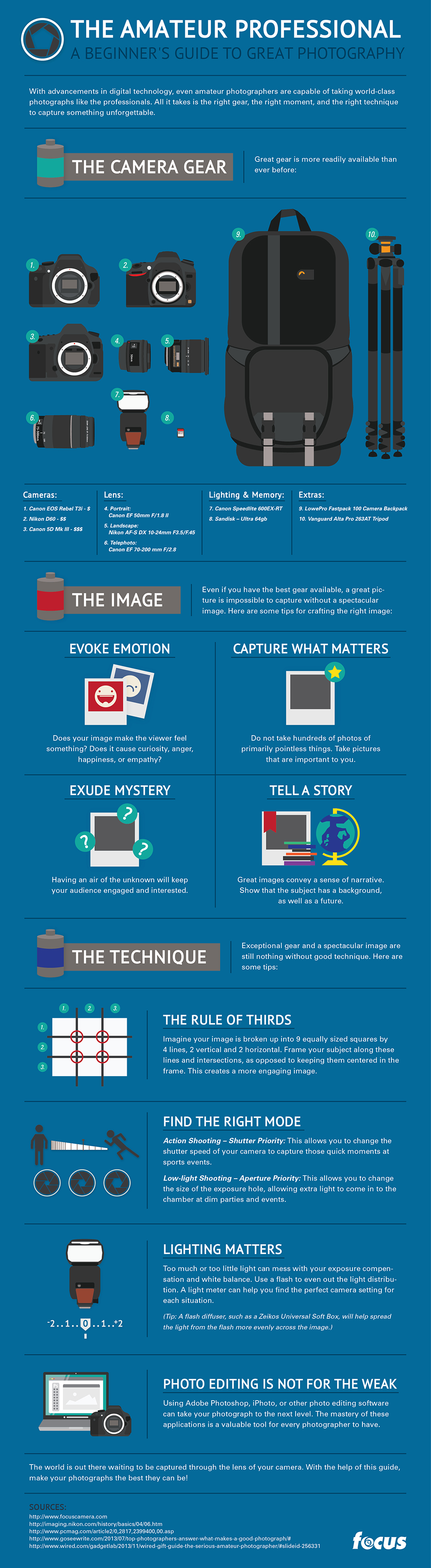The Amateur Professional Infographic