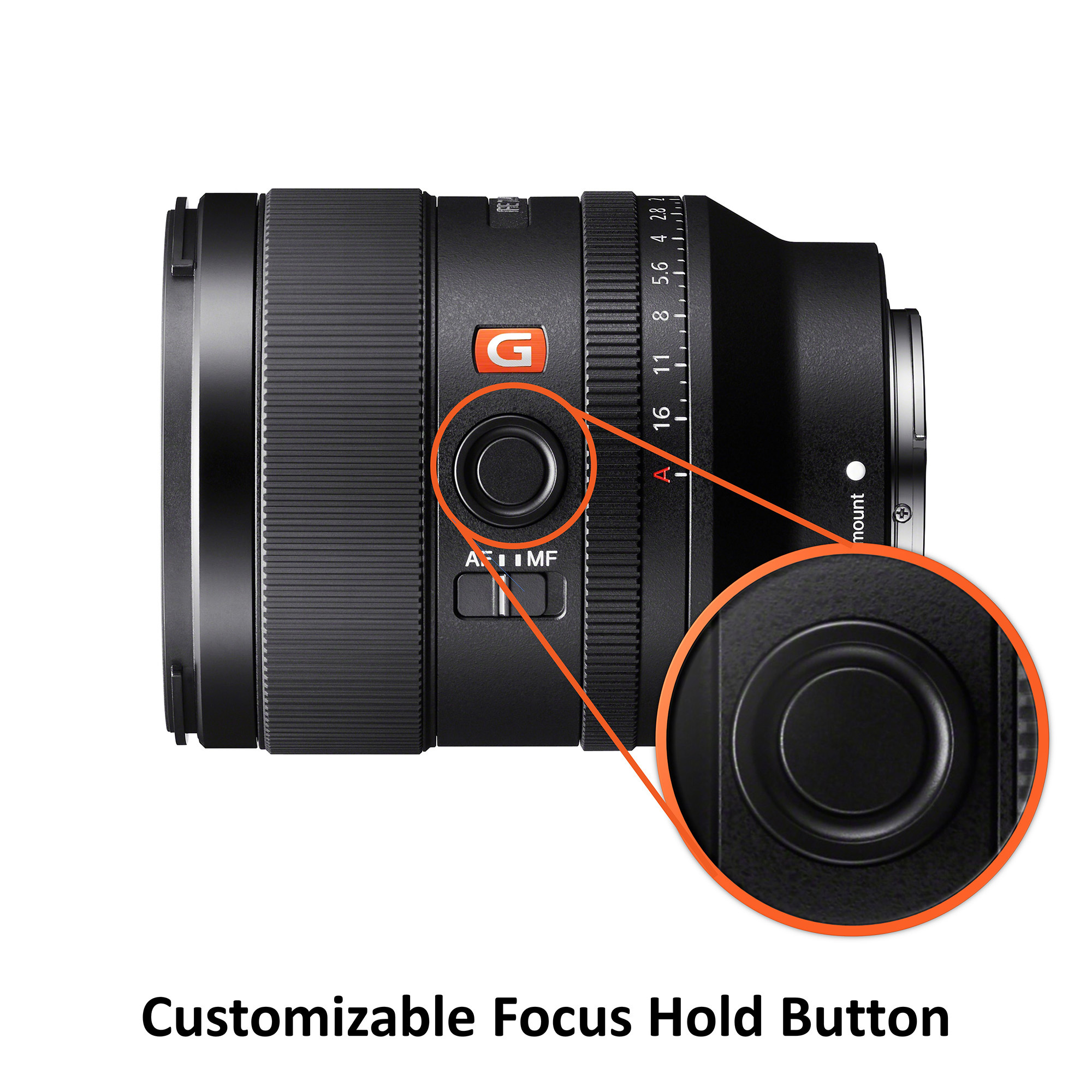 Observatie Tropisch Dat The 5 Best Sony E-Mount Portrait Lenses - Focus Camera