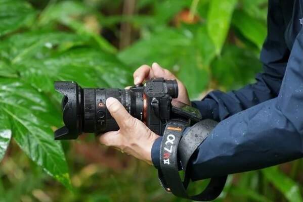 Sony unveils new entry-level a7 IV full-frame camera - Videomaker