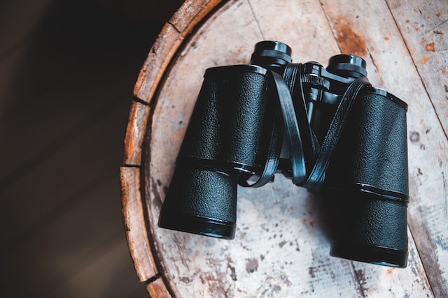 binoculars for birding, safari, sports, viewing optics, guide for sights and optics 