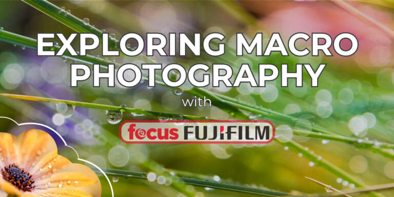 Fujifilm x Focus: Exploring Macro Photography