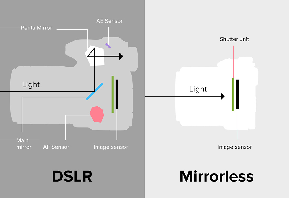 Choosing a DSLR in the Era of the Mirrorless Camera - Casual Photophile